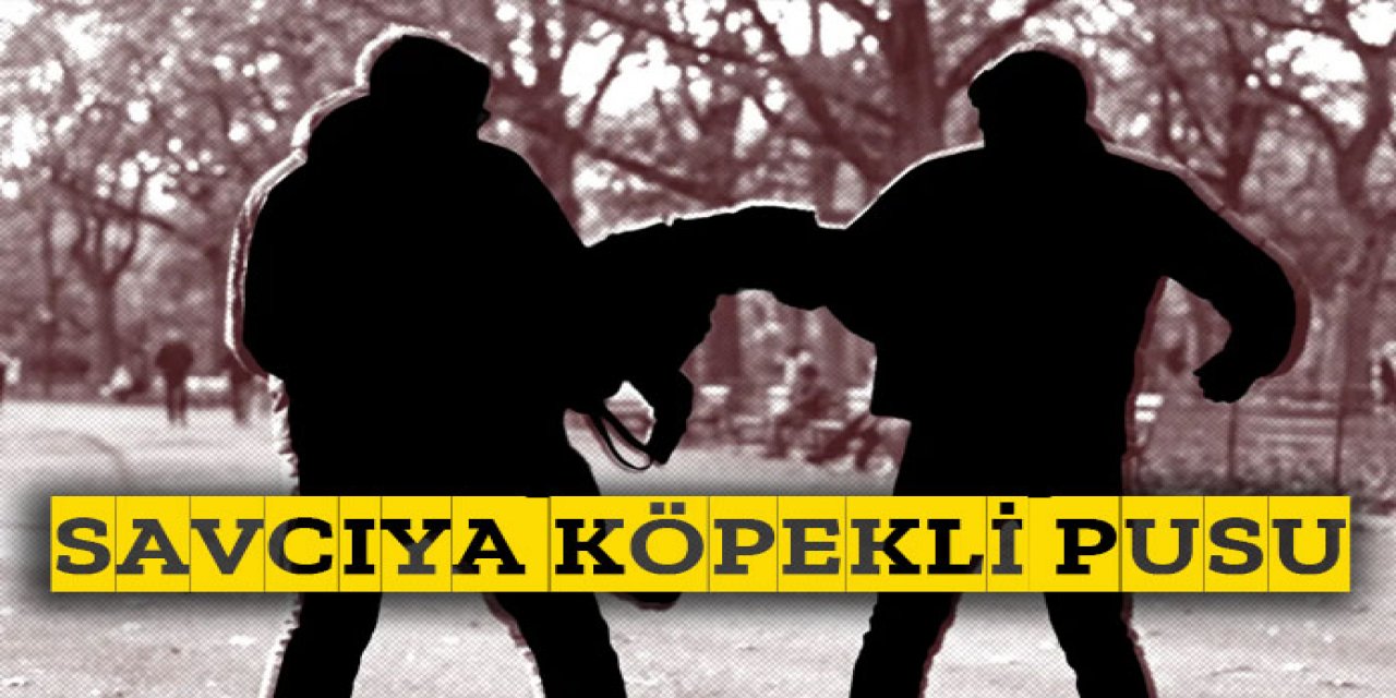 Savcıya 'köpekli' pusu! Dehşeti