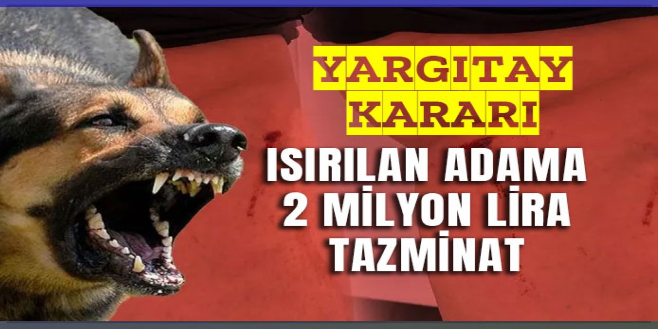 ısırılan adam 2 milyon lira tazminat