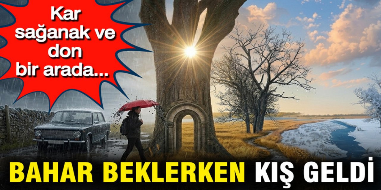 Bahar beklerken kış geri geldi