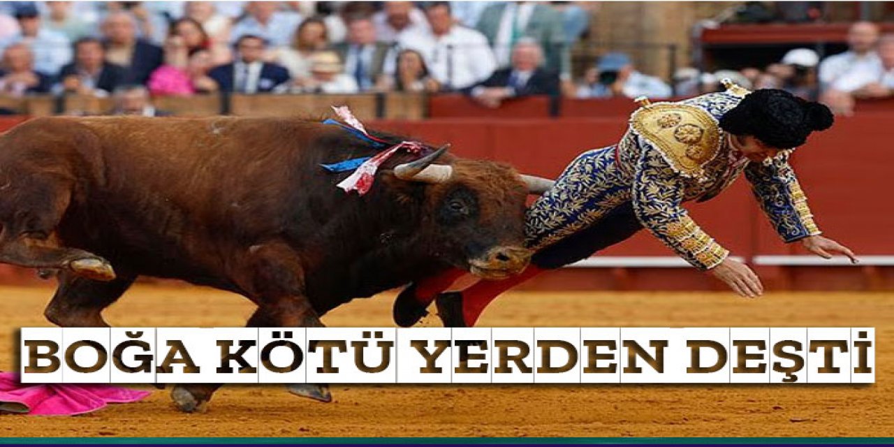 Boğa matadoru fena deldi
