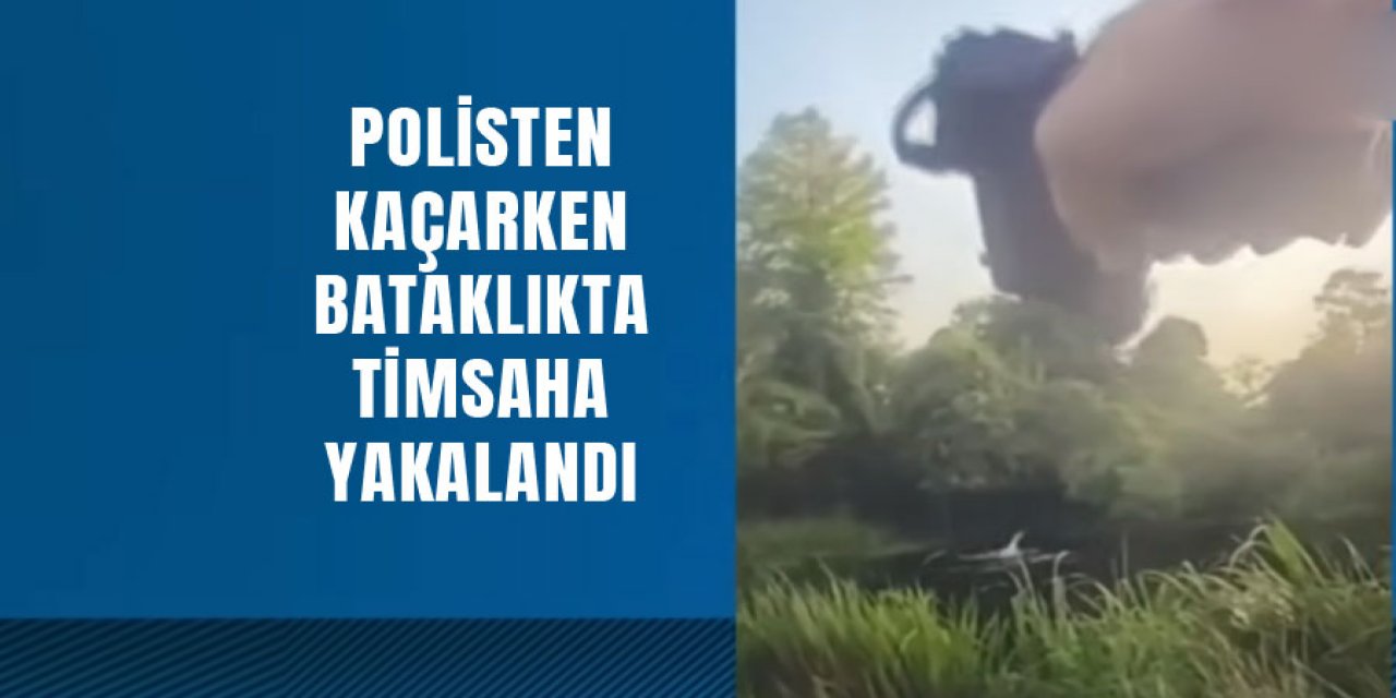 girdiği bataklıkta timsaha yakalandı