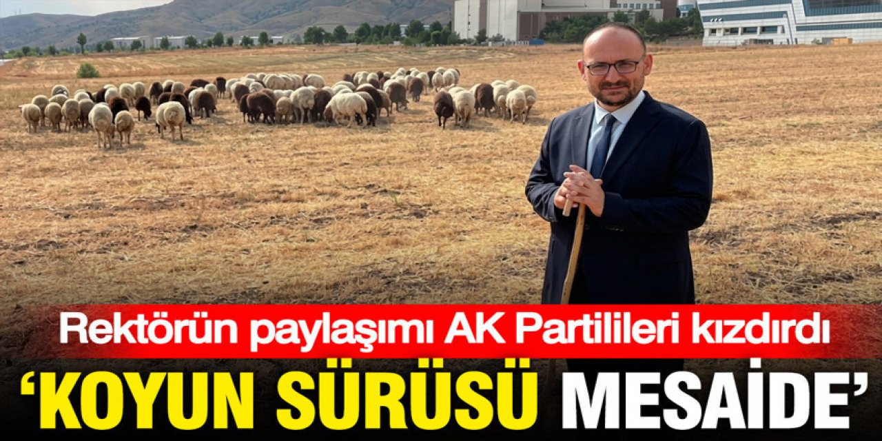 Rektörün 'koyun' paylaşımı AK Parti'yi kızdırdı