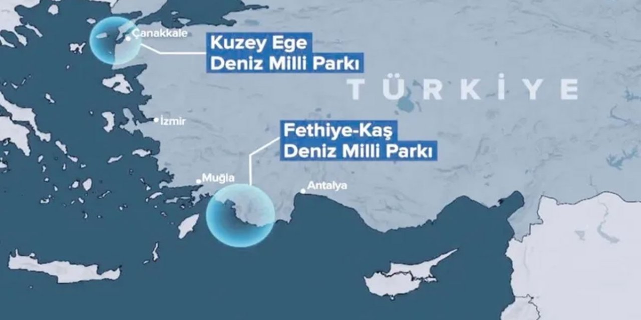 Yunanistan'a deniz parkı darbesi