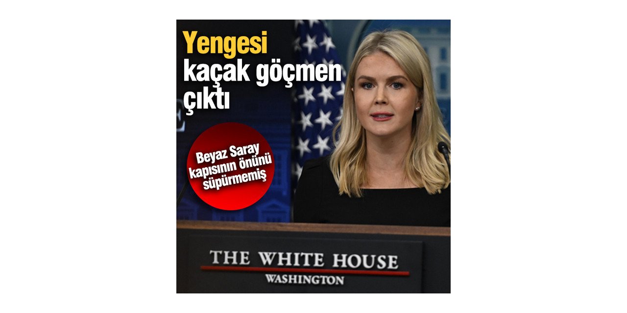 kaçak göçmen çıktı