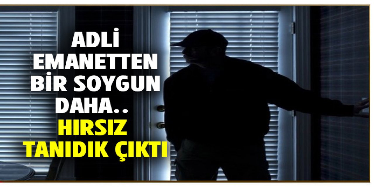 Bir soygun da Adalar Adliyesinde