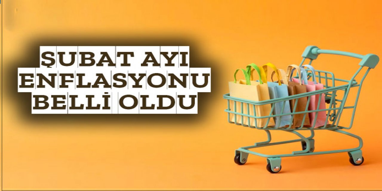 Şubat ayı enflasyon rakamları açıklandı