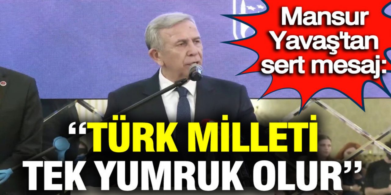 Türk milleti tek yumruk olur