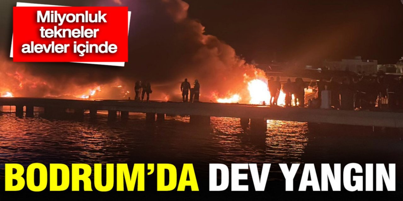 Marinalar alevlere teslim