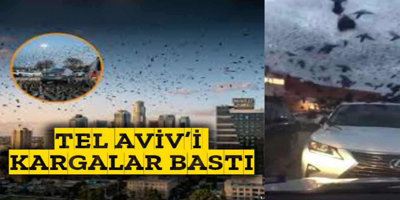 İnanılmaz.. Tel Aviv'e kargalar saldırdı